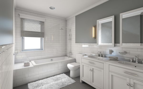 Cost of Restroom Remodeling in Columbia
