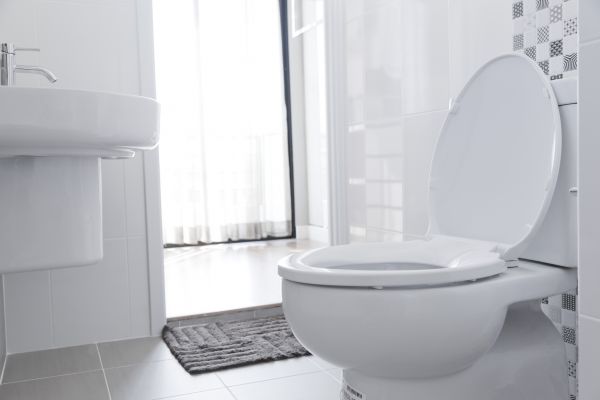 Cost of Toilet Relocation in Columbia
